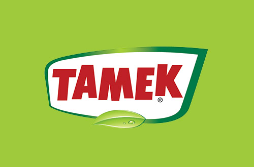 Tamek